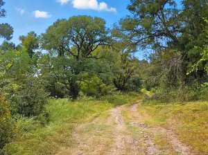Jonesboro, TX 76538