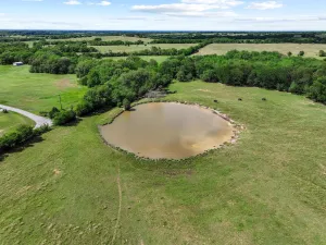 Whitewright, TX 75491