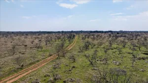 Graford, TX 76449