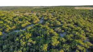 Abilene, TX 79602