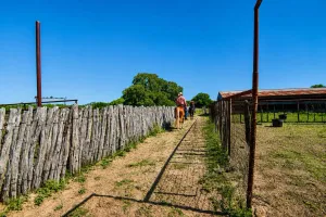 Rochelle, TX 76872