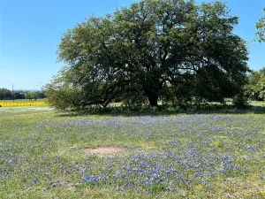 Walnut Springs, TX 76690