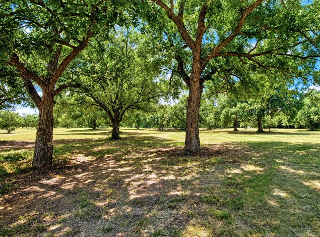 St Jo, TX 76265