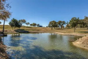 Kemp, TX 75143