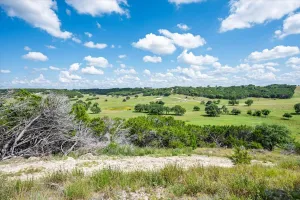 Purmela, TX 76566