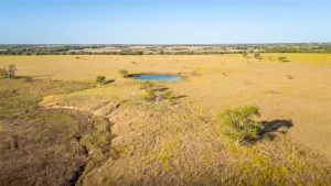 Alvarado, TX 76009