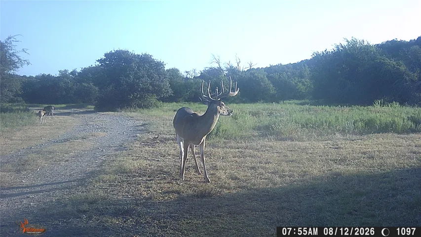 May, TX 76857