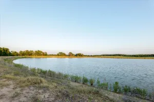 Carbon, TX 76435