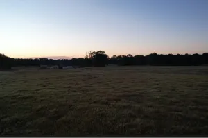 Henderson, TX 75654
