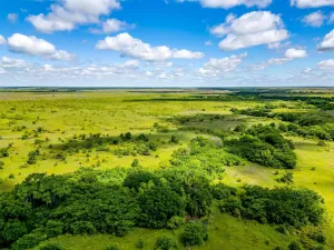 Bellevue, TX 76228