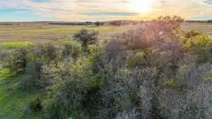 Ponder, TX 76259