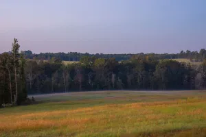Kilgore, TX 75662