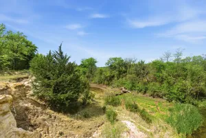Forestburg, TX 76239