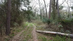 Pittsburg, TX 75686