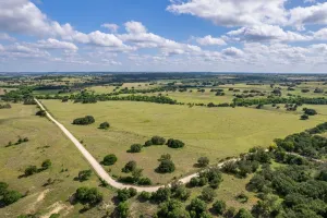 Hamilton, TX 76531