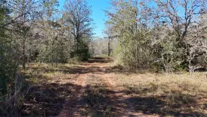 Gonzales, TX 78632