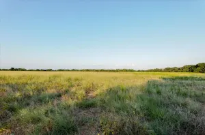 Carbon, TX 76435