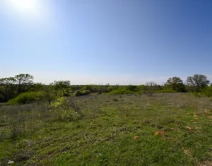 Decatur, TX 76234