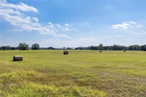 Pilot Point, TX 76258