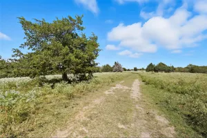 Lone Oak, TX 75453