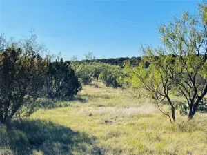 Bronte, TX 76933