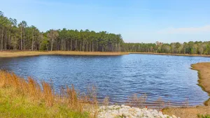 Linden, TX 75563