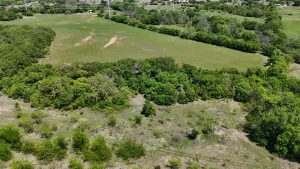 Peaster, TX 76088