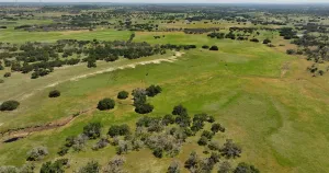 Goldthwaite, TX 76866