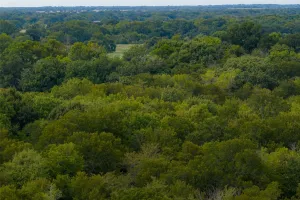 Wills Point, TX 75169
