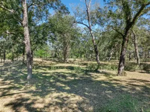 Gonzales, TX 78629