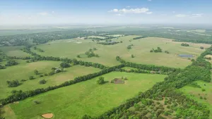 Honey Grove, TX 75446