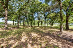 Burleson, TX 76028