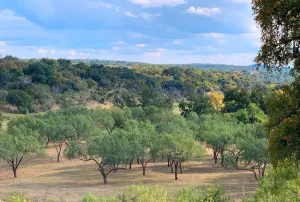 Spicewood, TX 78669