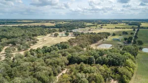 Franklin, TX 77856