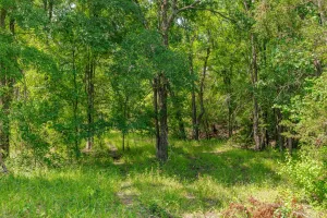 Carlton, TX 76436