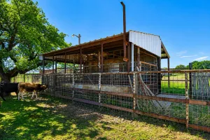 Rochelle, TX 76872