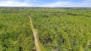 Sour Lake, TX 77659