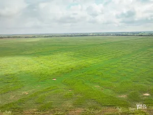 Richland Springs, TX 76871