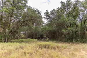 Mullin, TX 76864