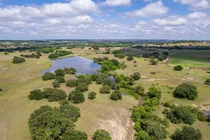 Hamilton, TX 76531