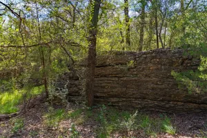 No City, TX 76827