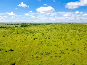 Bellevue, TX 76228