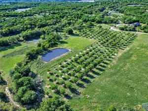 St Jo, TX 76265