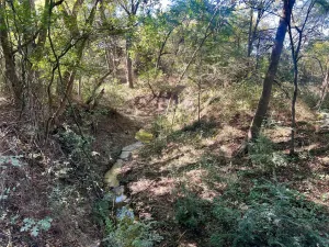 Milford, TX 76670