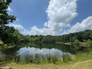Powderly, TX 75473