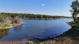 Gorman, TX 76454
