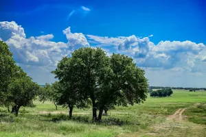 Henrietta, TX 76230