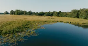 Wills Point, TX 75169