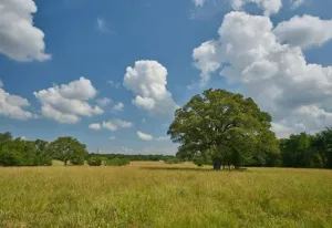 Rockdale, TX 76567
