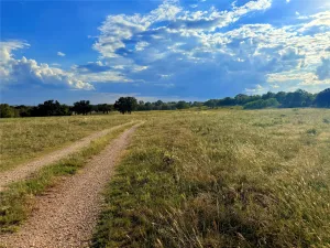 Jacksboro, TX 76458